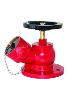 Read more about the article Landing Valve Flange