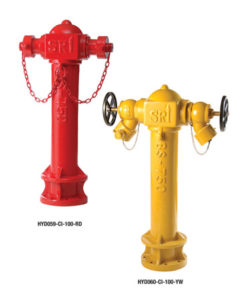 Read more about the article SRI Pillar Hydrant